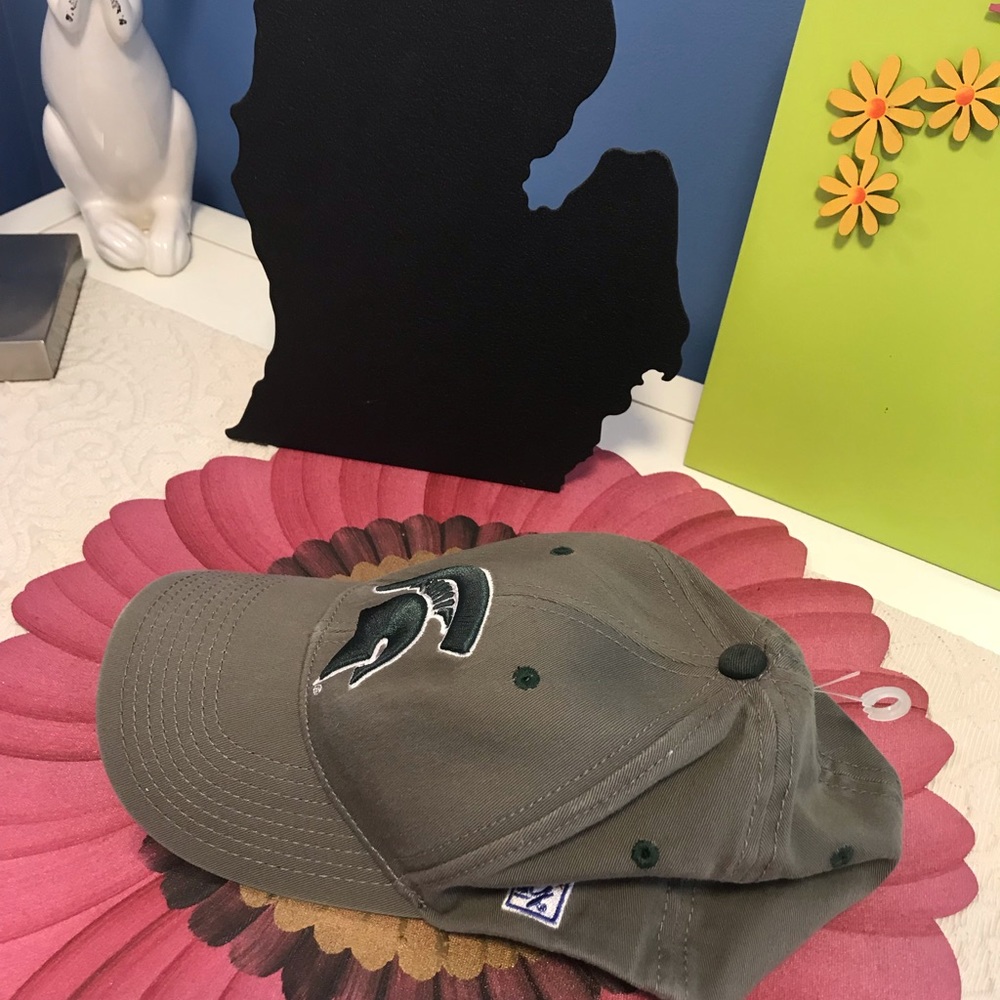 Michigan State Cap - Picture 2 of 4